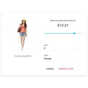Price Alert - Follow the price